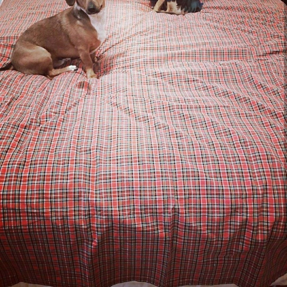 Flannel twin bedsheet
